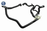 Radiator Hose - V48-0580