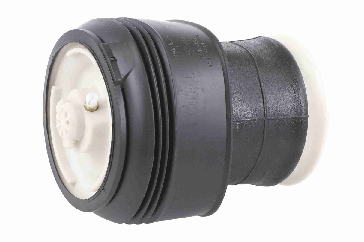 Air Suspension Strut - V20-50-0006-1