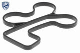 Oil Cooler, engine oil - V25-60-0031