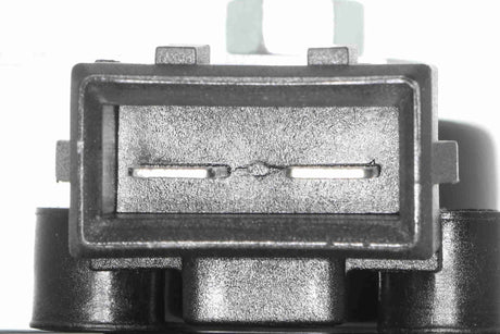 Signal Horn - V10-77-0911