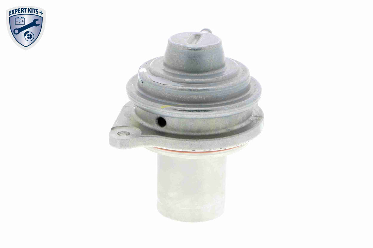 Valve, exhaust gas recirculation - V30-63-0041