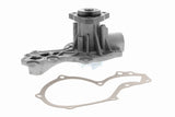 Water Pump, engine cooling - V10-50029