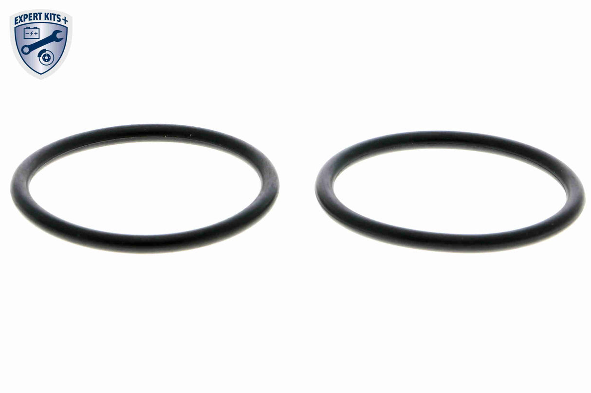 Thermostat Housing - V15-99-2076