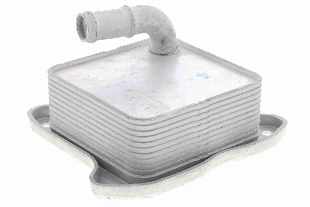 Oil Cooler, engine oil - V15-60-6062