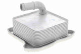 Oil Cooler, engine oil - V15-60-6062