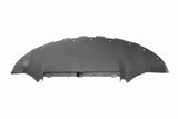 Skid Plate - V58-0276