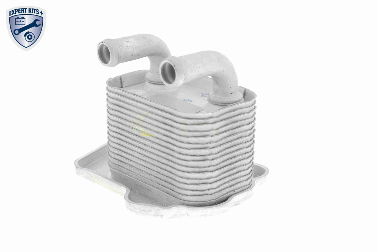 Oil Cooler, engine oil - V40-60-2105