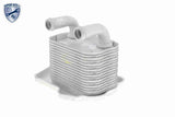 Oil Cooler, engine oil - V40-60-2105