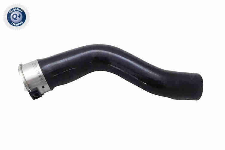 Charge Air Hose - V21-0054