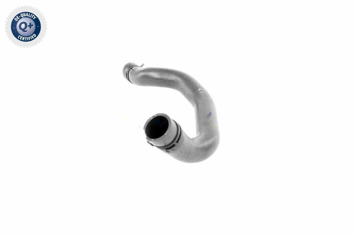 Radiator Hose - V20-3244