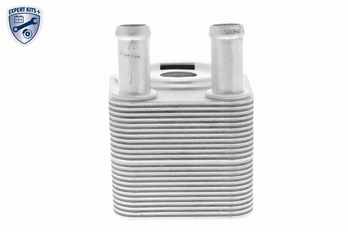 Oil Cooler, engine oil - V48-60-0028