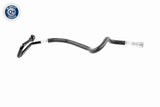 Hydraulic Hose, steering - V20-1721