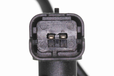 Hose, fuel overflow - V46-1208