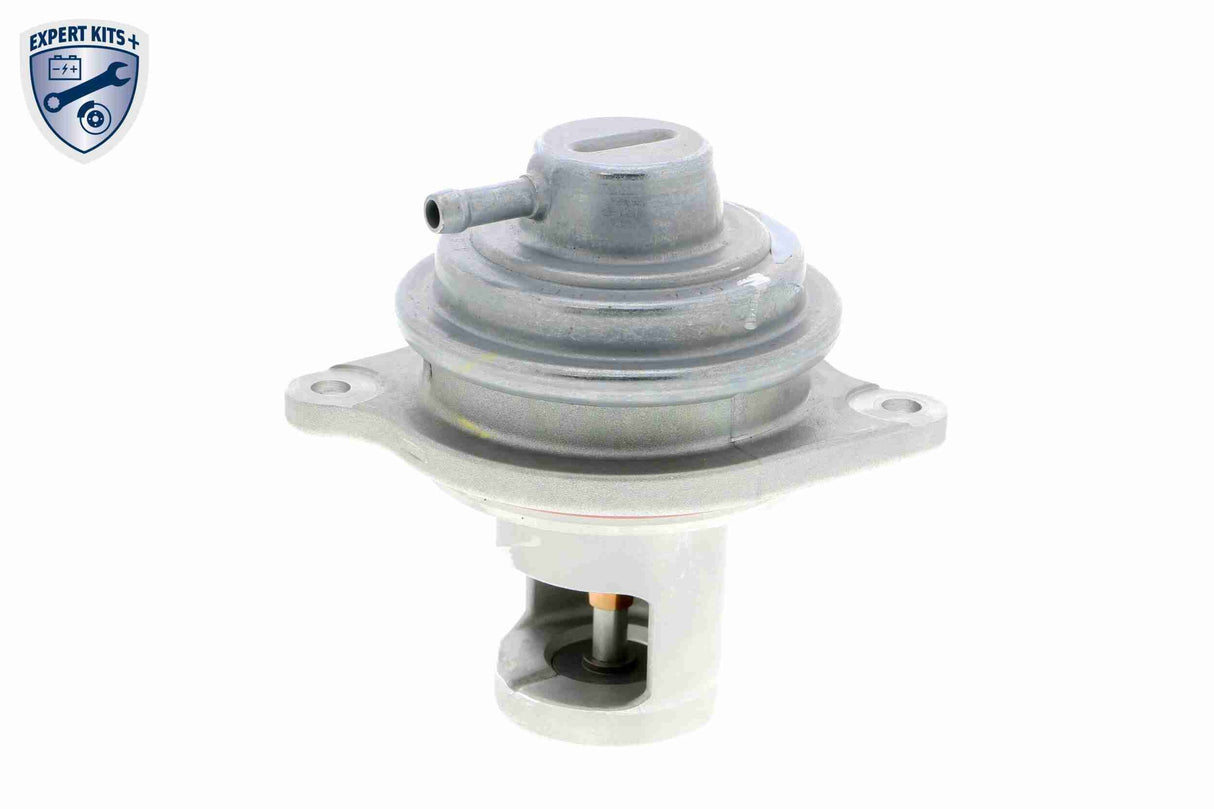 Valve, exhaust gas recirculation - V30-63-0041