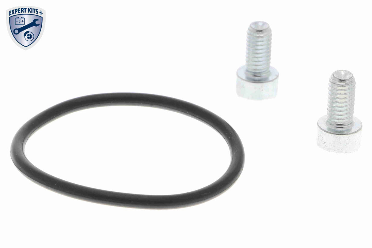 Control Element, parking brake caliper - V10-77-1022