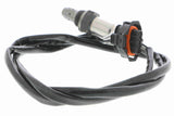Oxygen Sensor - V40-76-0020