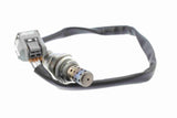 Oxygen Sensor - V38-76-0018