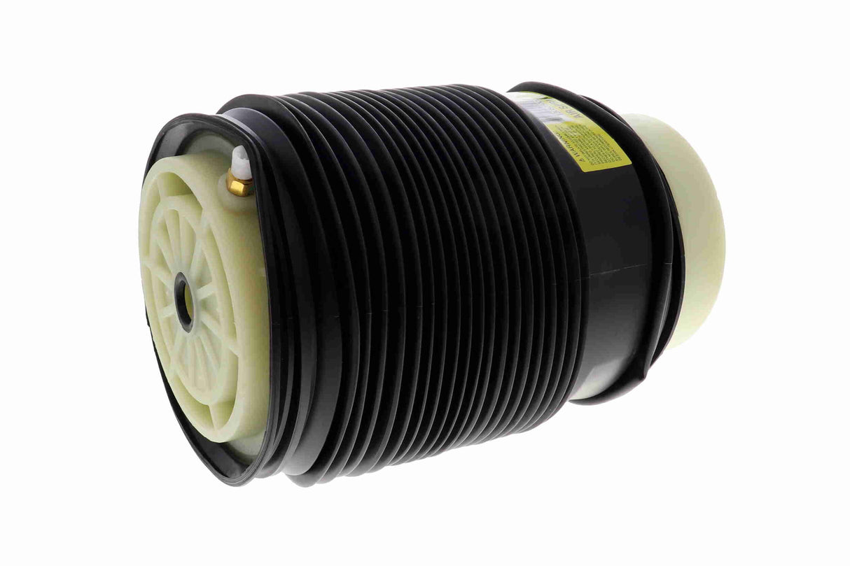 Air Suspension Strut - V30-50-0004-1