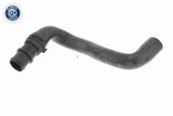 Radiator Hose - V20-2462