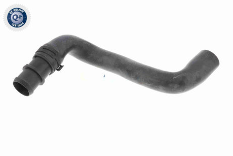 Radiator Hose - V20-2462