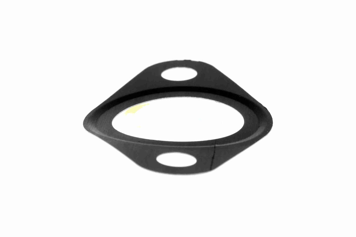Gasket, EGR valve - V24-63-0015