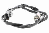 Oxygen Sensor - V25-76-0022