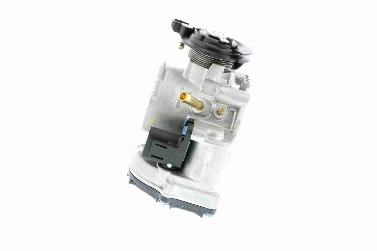 Throttle Body - V10-81-0008
