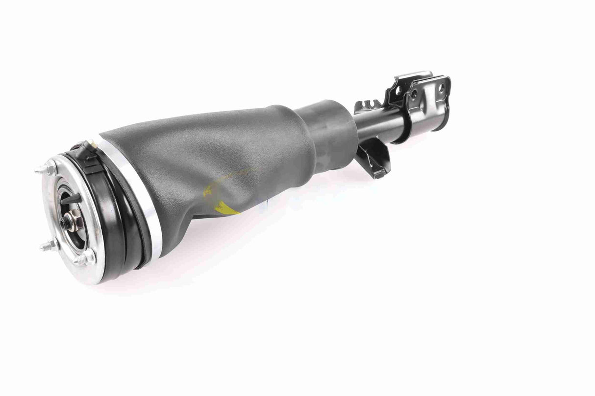 Air Suspension Strut - V48-50-0002