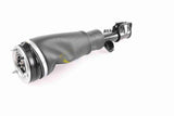 Air Suspension Strut - V48-50-0002