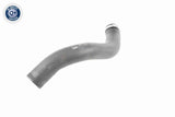 Charge Air Hose - V10-3777