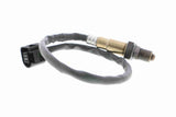 Oxygen Sensor - V20-76-0060