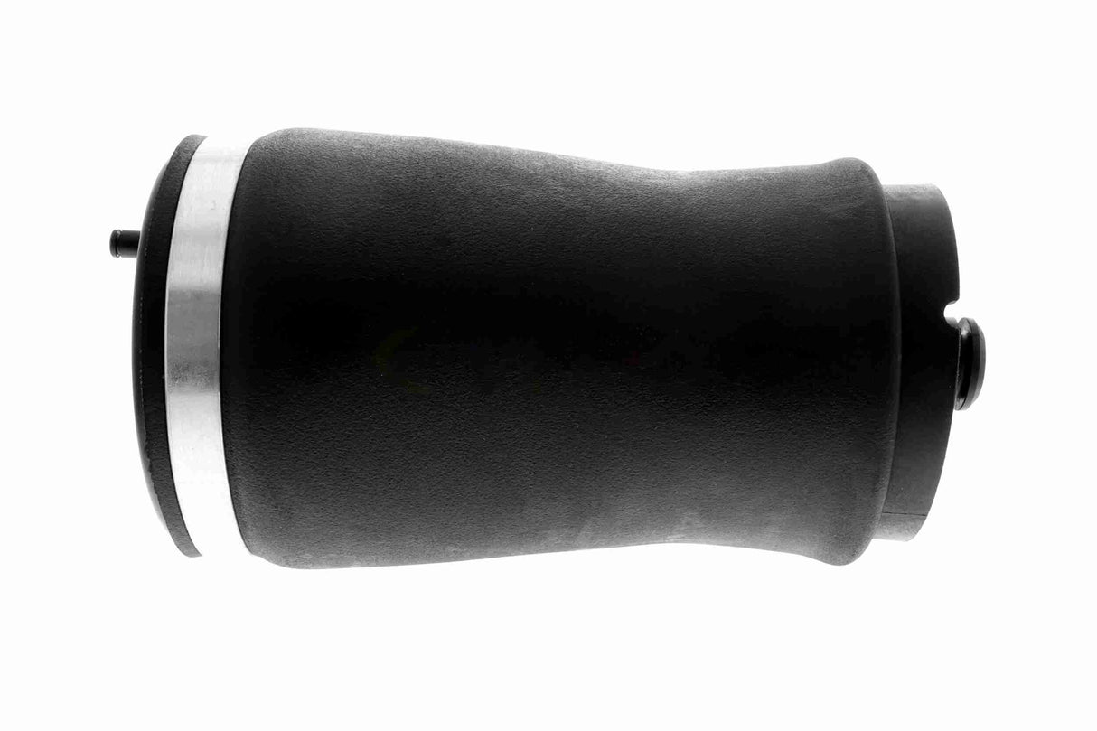Air Suspension Strut - V20-50-0002-1