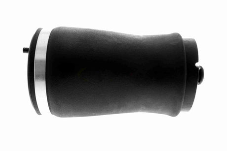 Air Suspension Strut - V20-50-0002-1