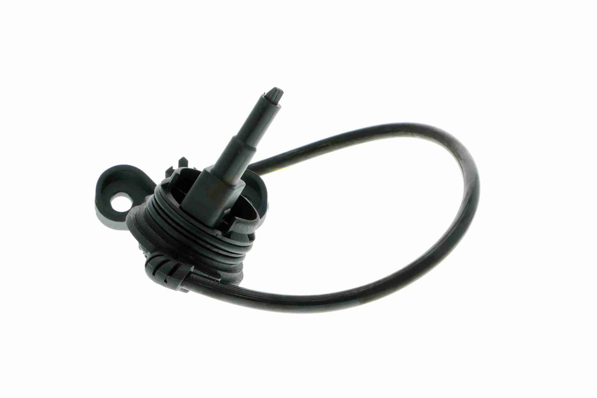 Switch, reverse light - V10-73-0141