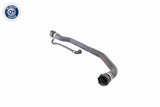 Radiator Hose - V20-1346