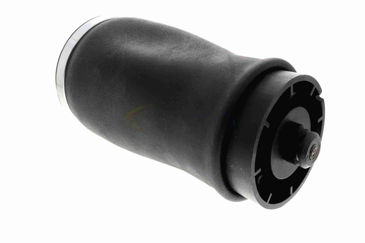 Air Suspension Strut - V20-50-0004-1