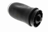 Air Suspension Strut - V20-50-0004-1