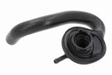 Radiator Hose - V30-3839