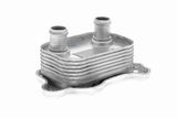 Oil Cooler, engine oil - V20-60-0051