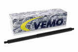 Electric Motor, tailgate - V58-55-0010
