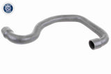 Charge Air Hose - V46-0846