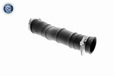 Charge Air Hose - V25-1034