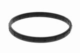 Thermostat Housing - V30-99-0210