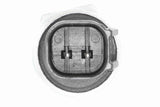Switch, reverse light - V25-73-0145