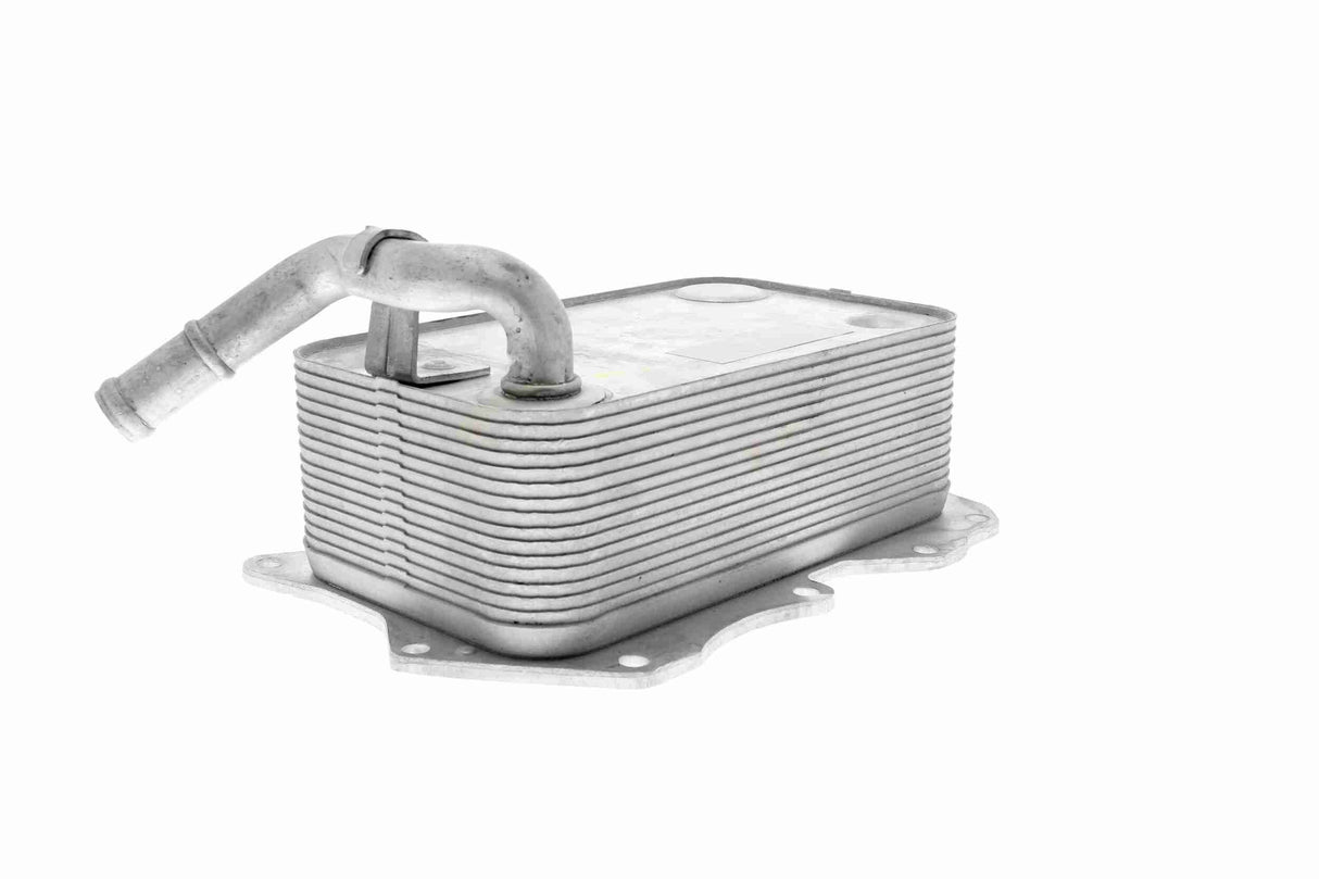 Oil Cooler, engine oil - V15-60-0008