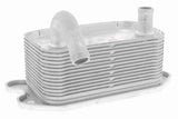 Oil Cooler, engine oil - V95-60-0020