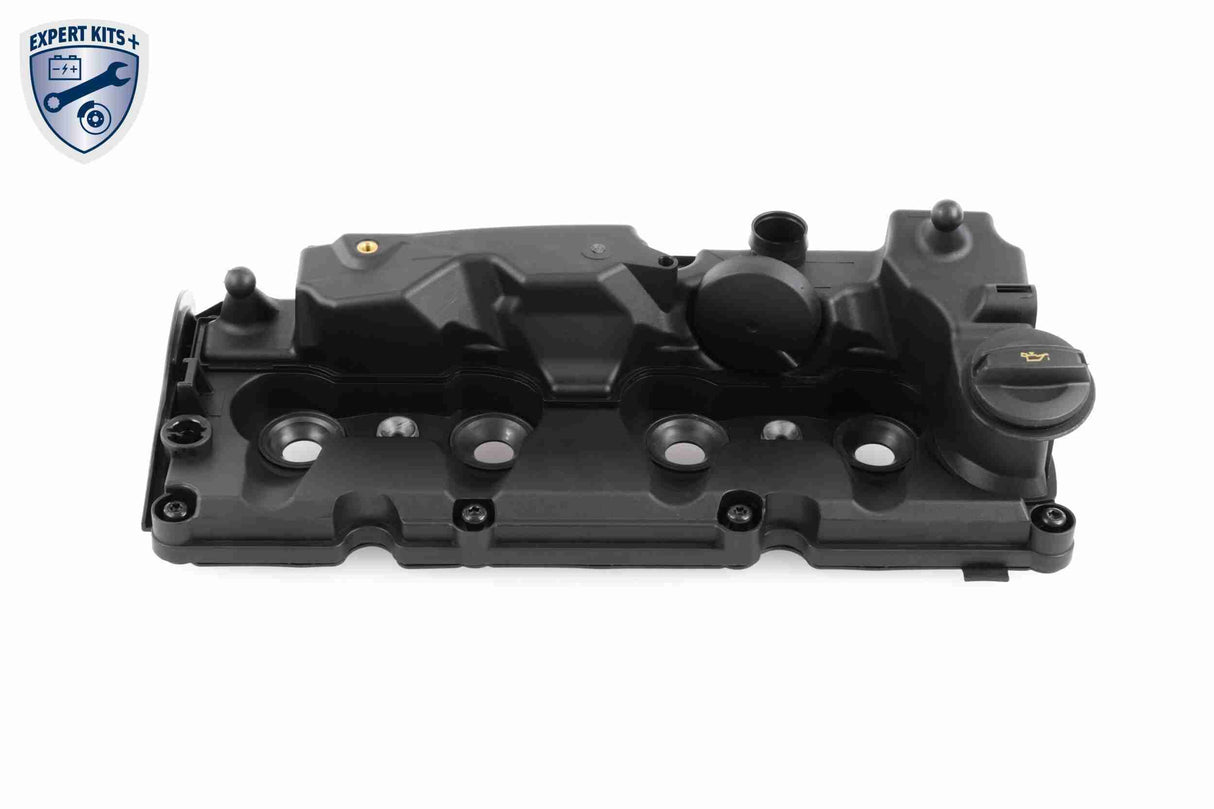 Cylinder Head Cover - V10-5778