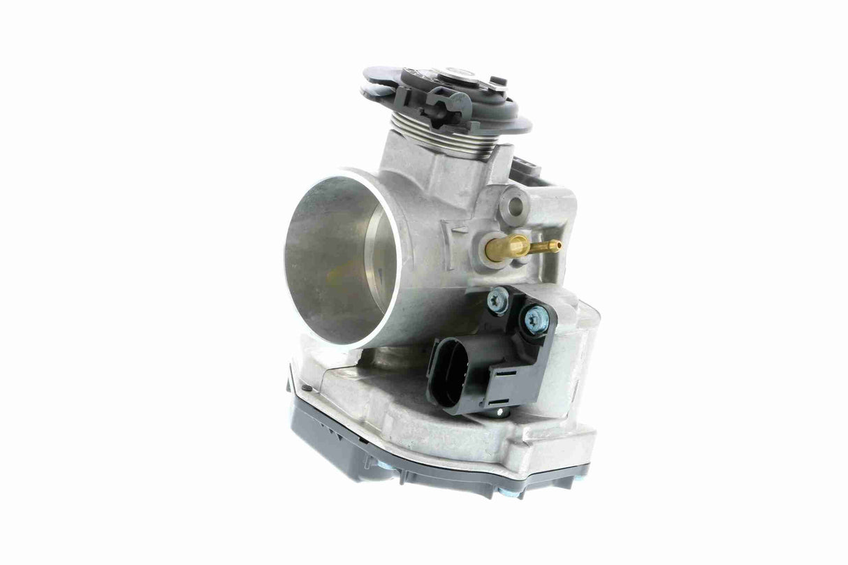 Throttle Body - V10-81-0020