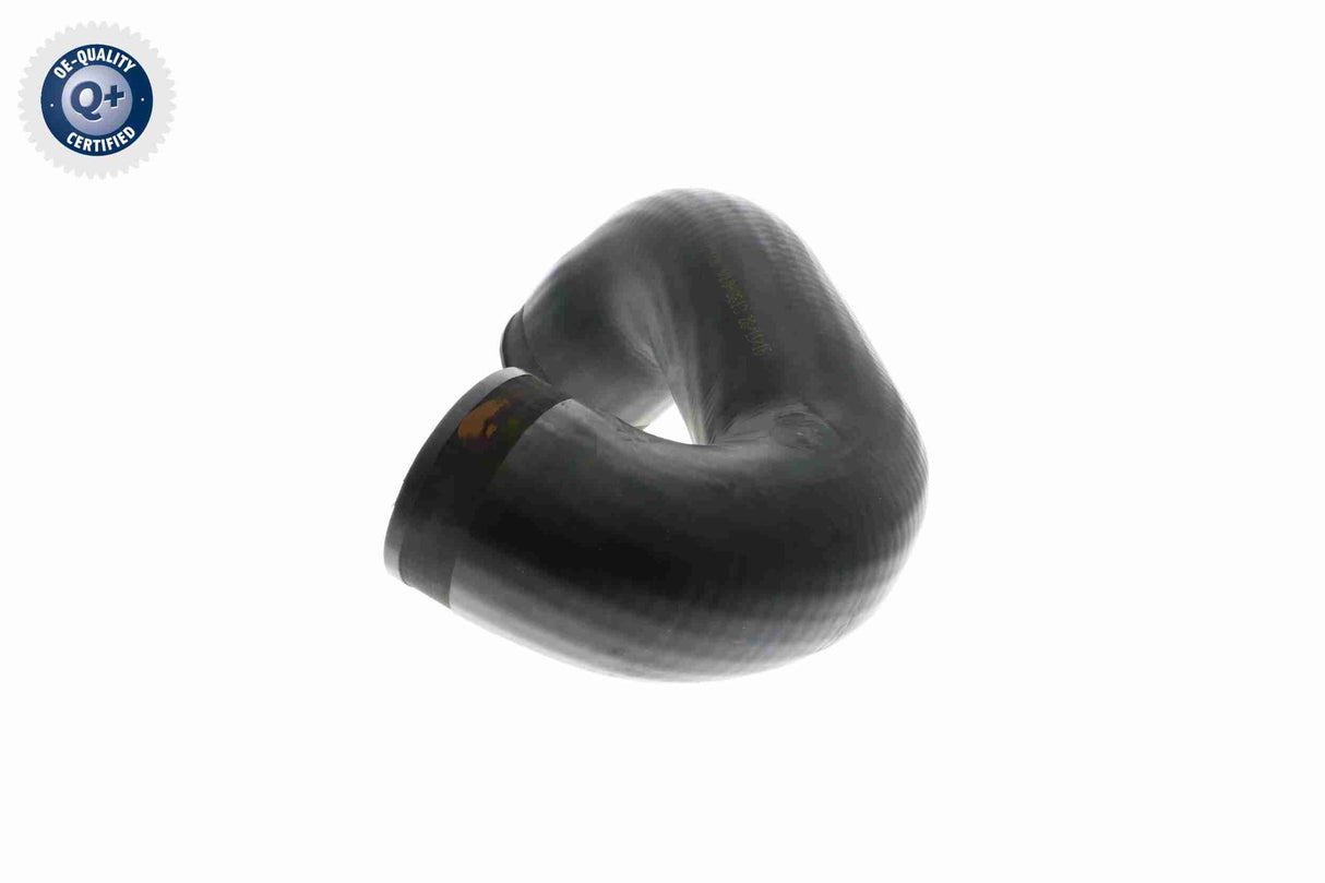 Charge Air Hose - V10-3813