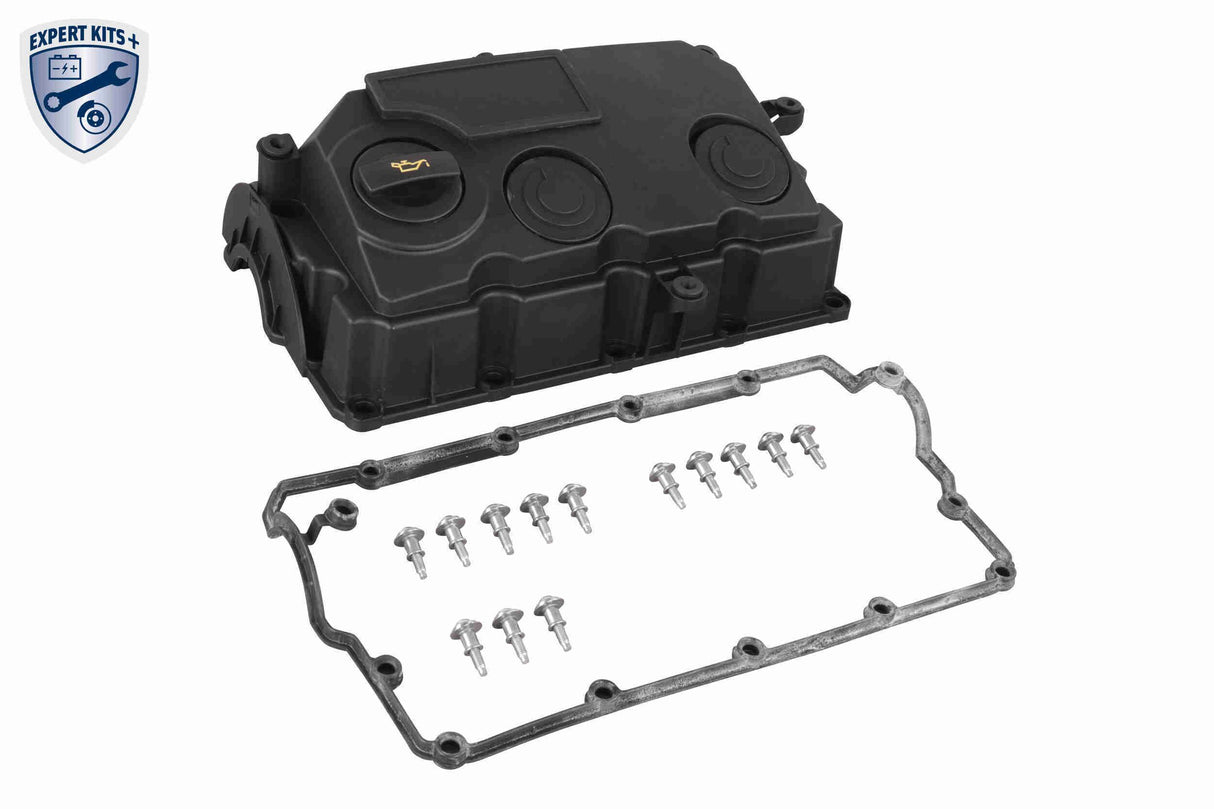 Cylinder Head Cover - V10-5993